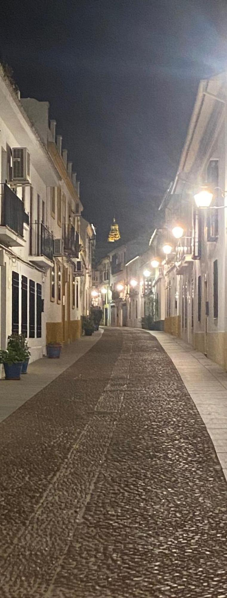 Enmitatiko Alcazar Viejo Apartment Cordoba Luaran gambar