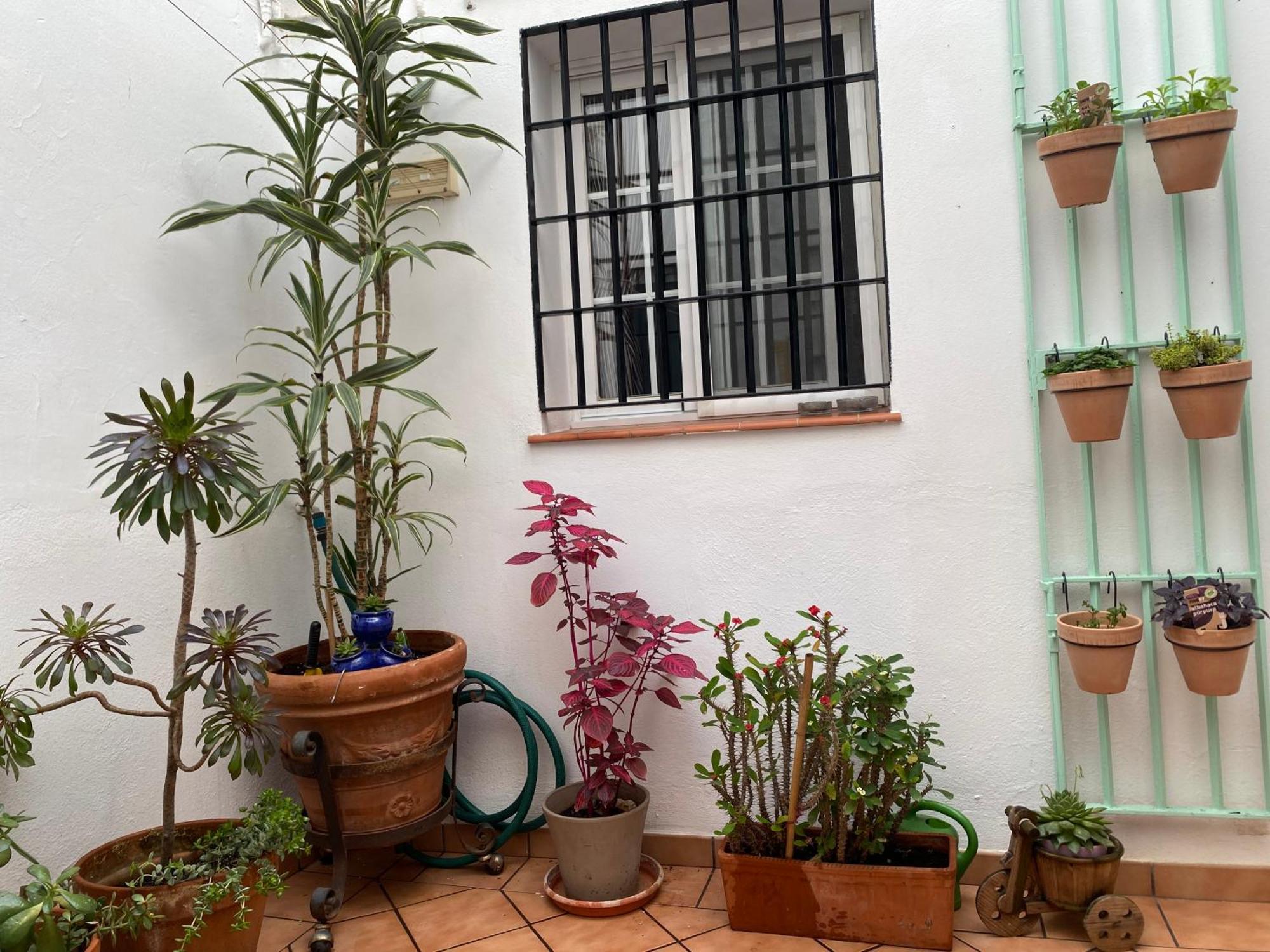 Enmitatiko Alcazar Viejo Apartment Cordoba Luaran gambar